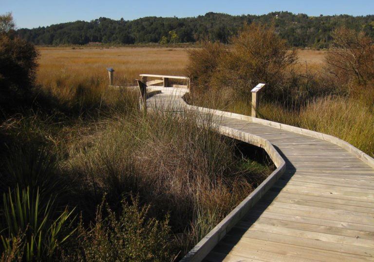 Wetland Walks | Visit Wetlands - National Wetland Trust of New Zealand