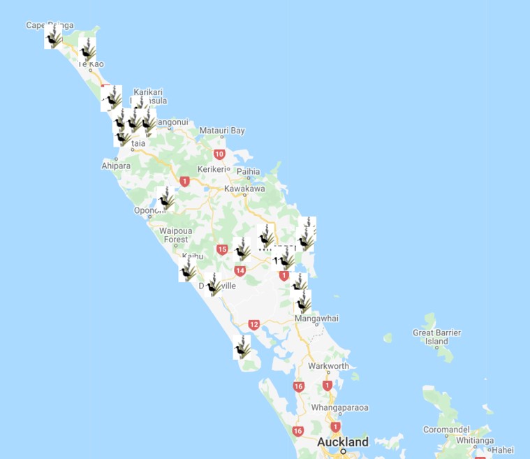 Northland Region Maps, NZ, 49% OFF | www.pinnaxis.com